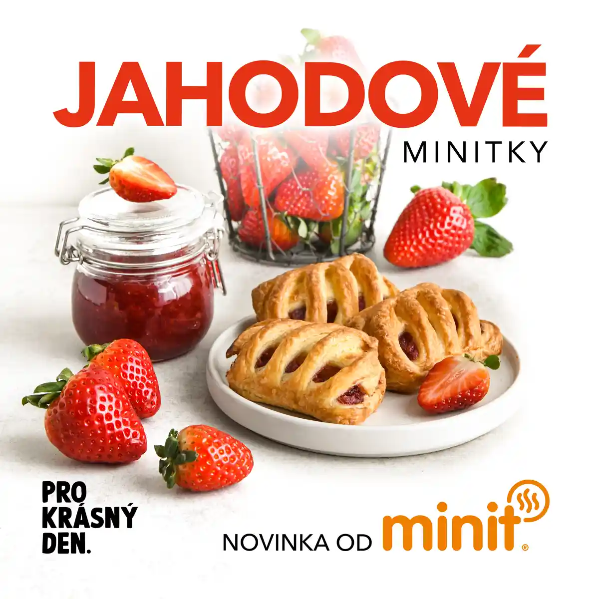 452024 VY jahodove sqr CZ